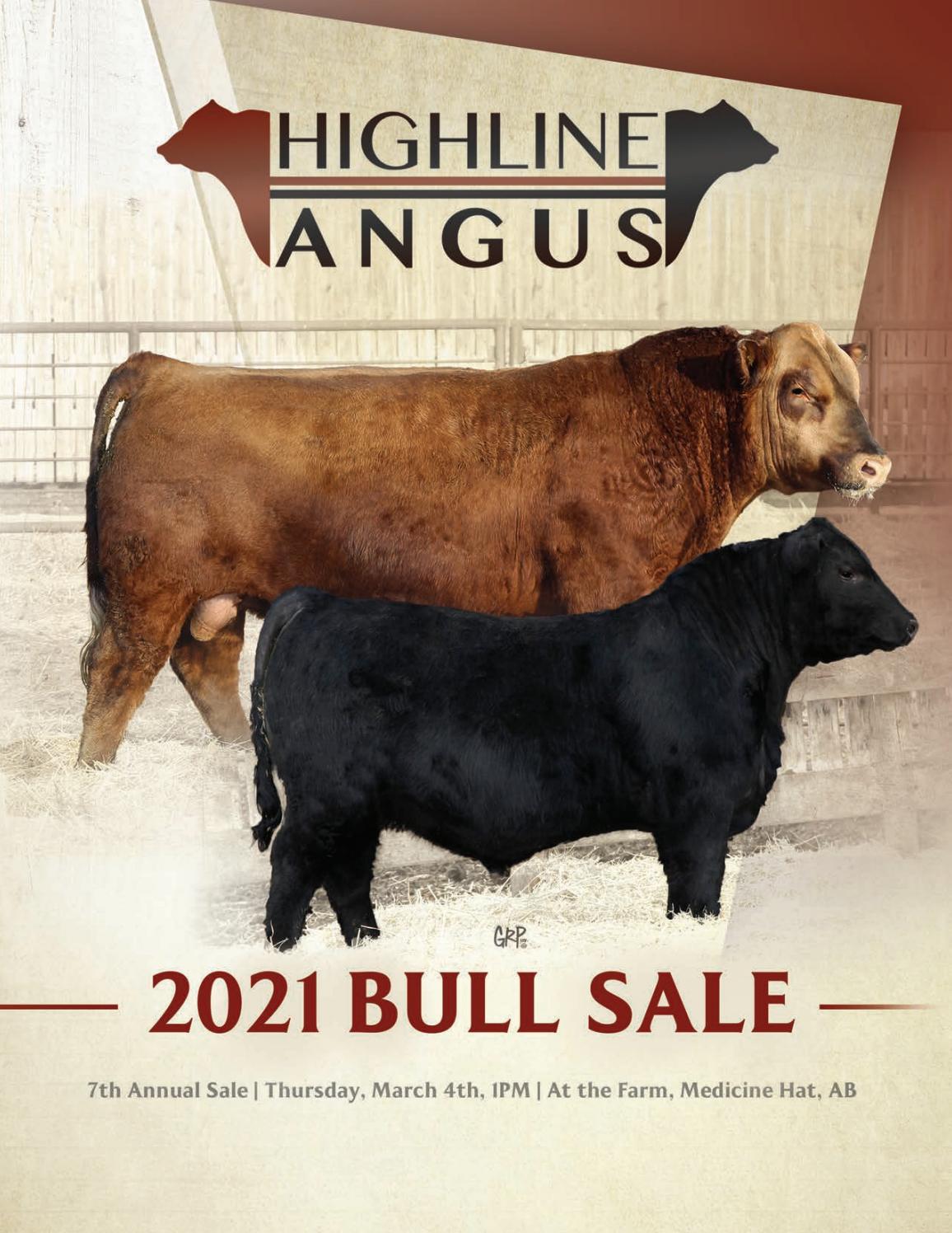 Highline Black and Red Angus Bull Sale by Castlerock Marketing Issuu