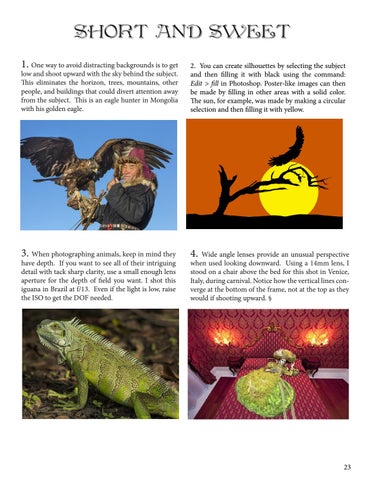 Page 23