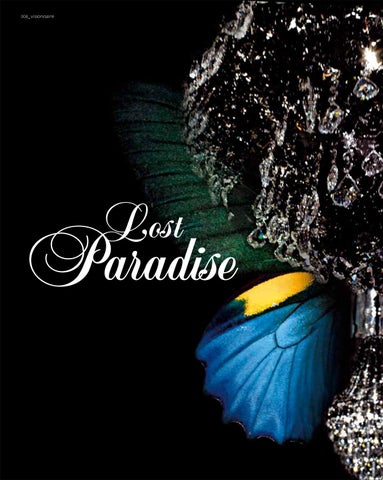 Lost Paradise 2007 第 9 页