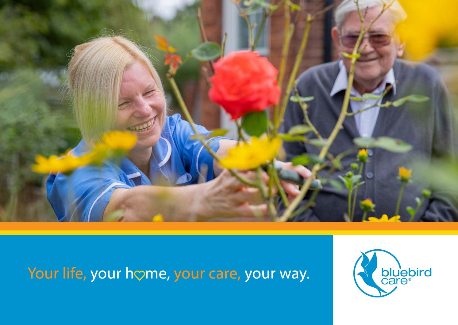 Bluebird Care Bournemouth - Care Brochure by Bluebird Care - Issuu