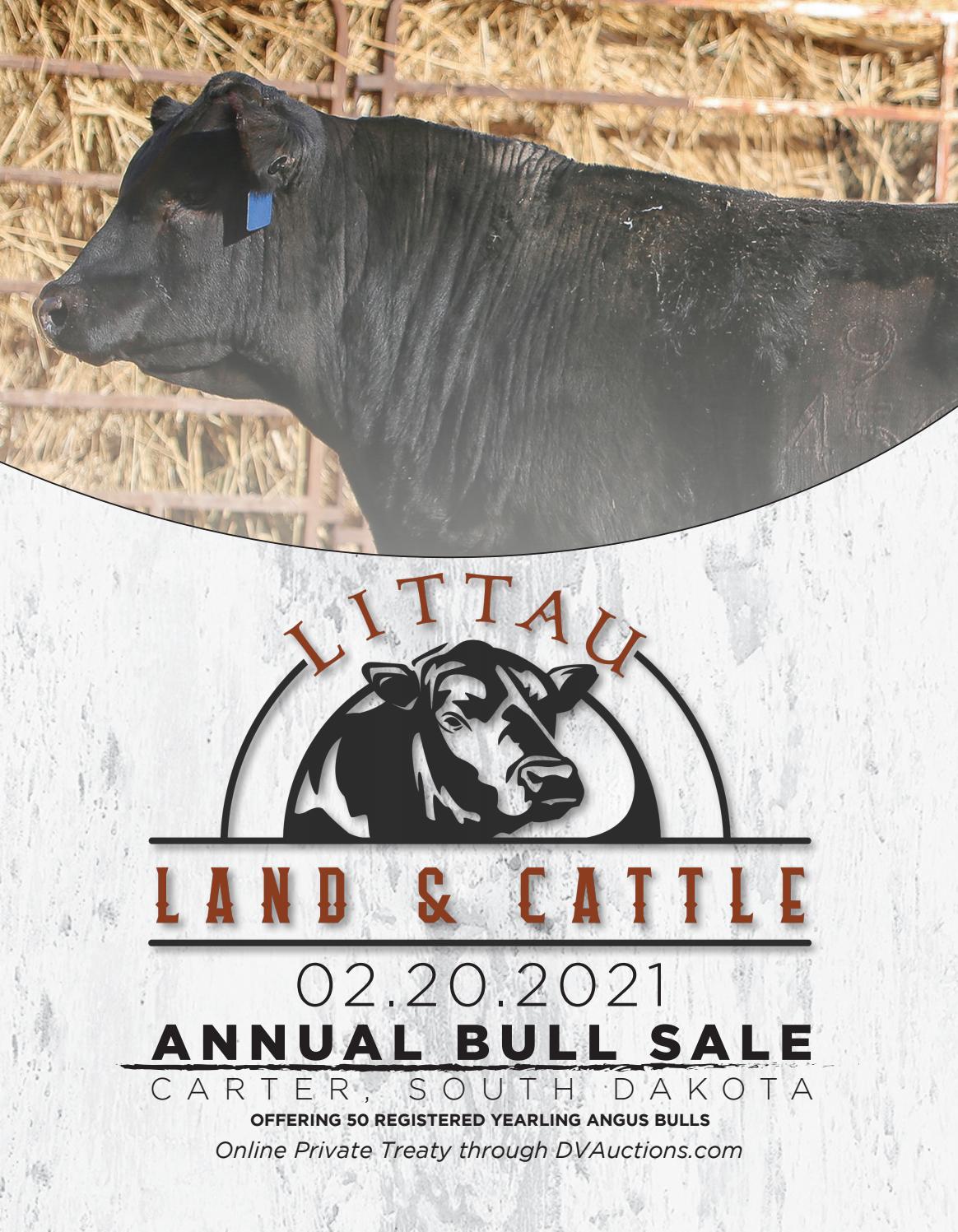 Littau Land & Cattle Sale Catalog 2021 by PeltonLivestock Issuu