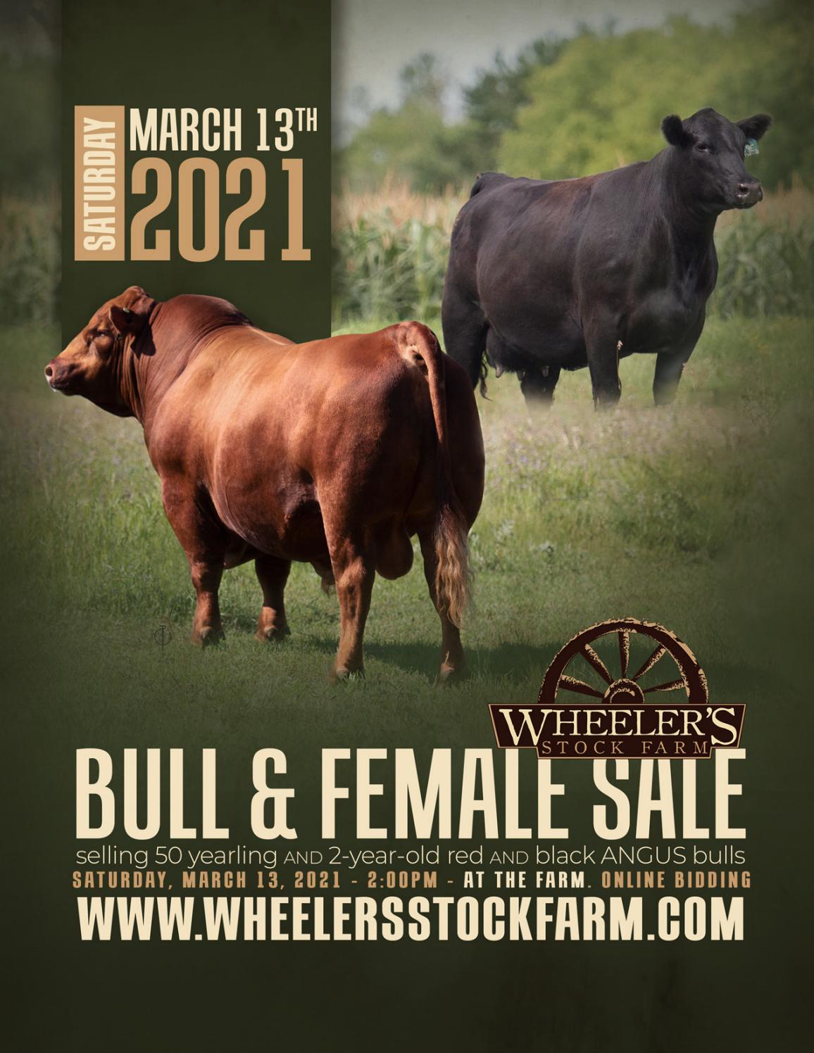 Wheeler's Stock Farm Bull Sale 2021 by Bella Spur Creative Issuu