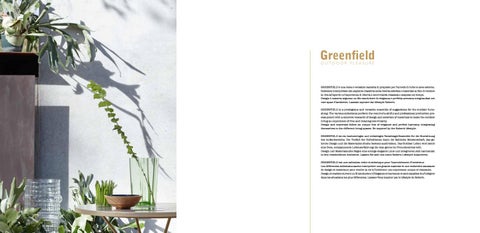 Roberti Greenfield 2020 第 2 页