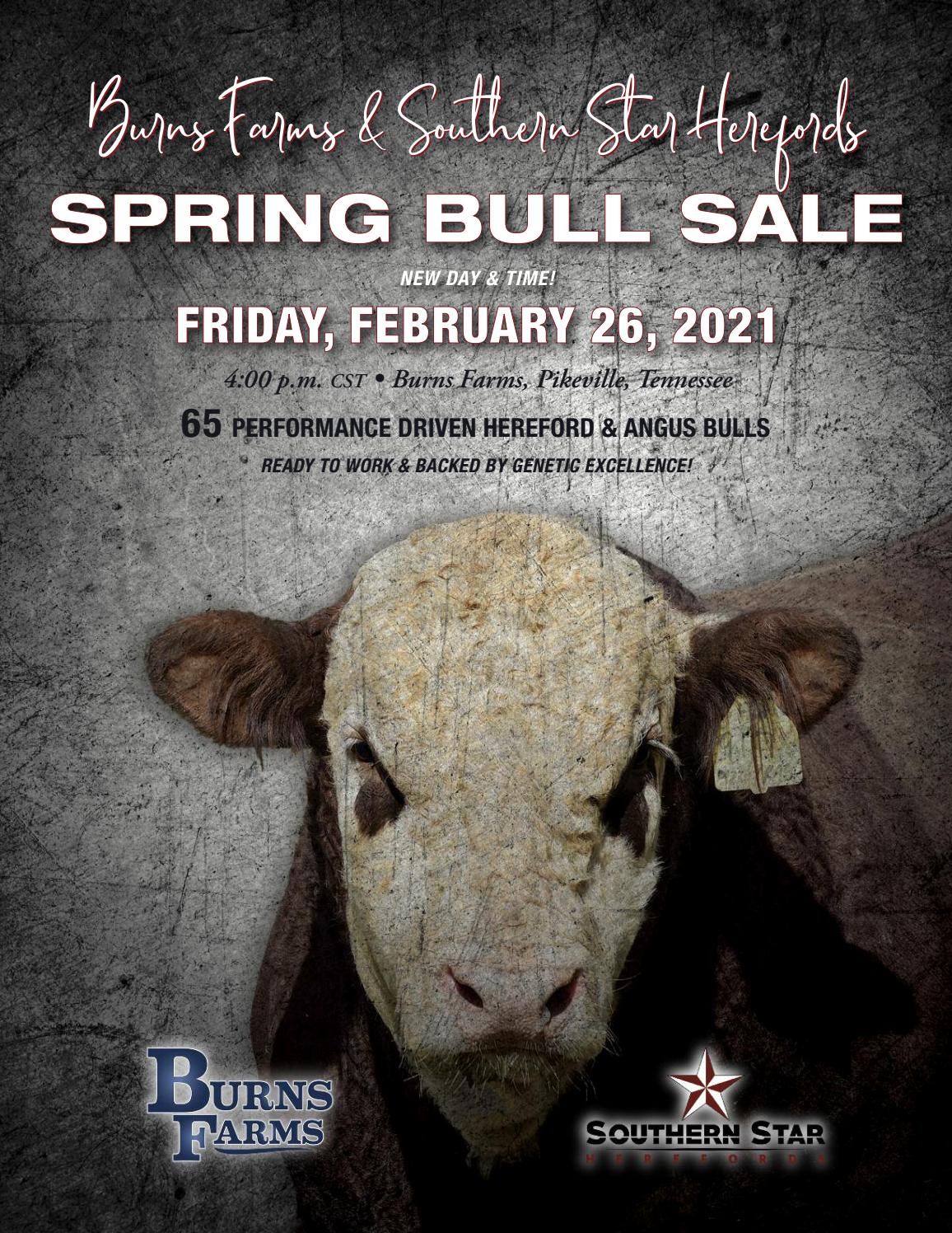 Burns Farms Southern Star Herefords Spring Bull Sale By American 
