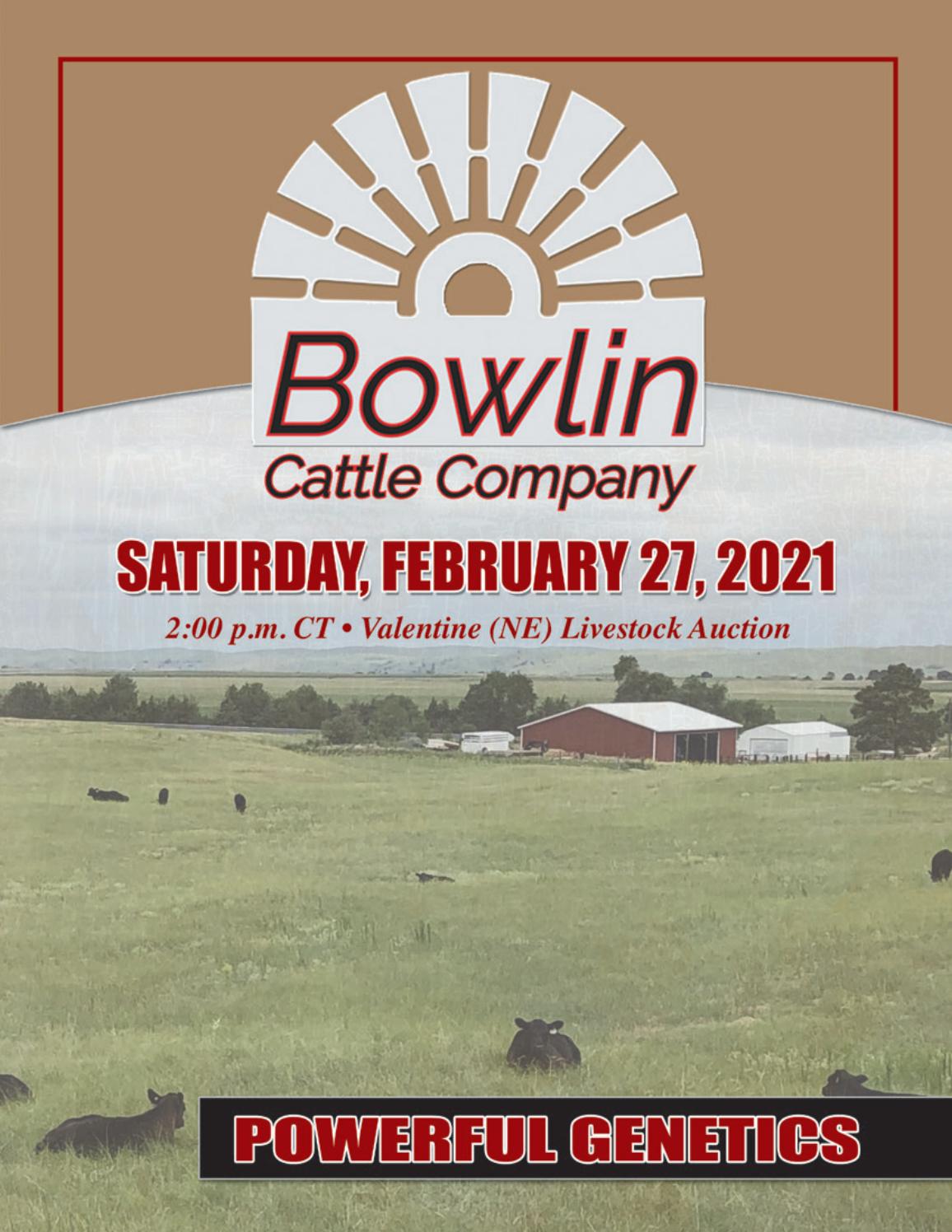 bowlin cattle co 2021 catalog by rpi promotions issuu