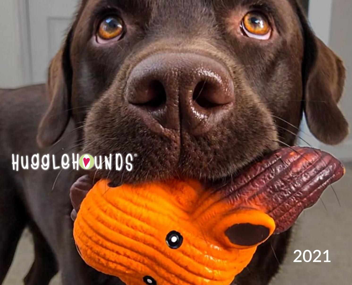 Hugglehounds 2021 By Hugglehounds Issuu