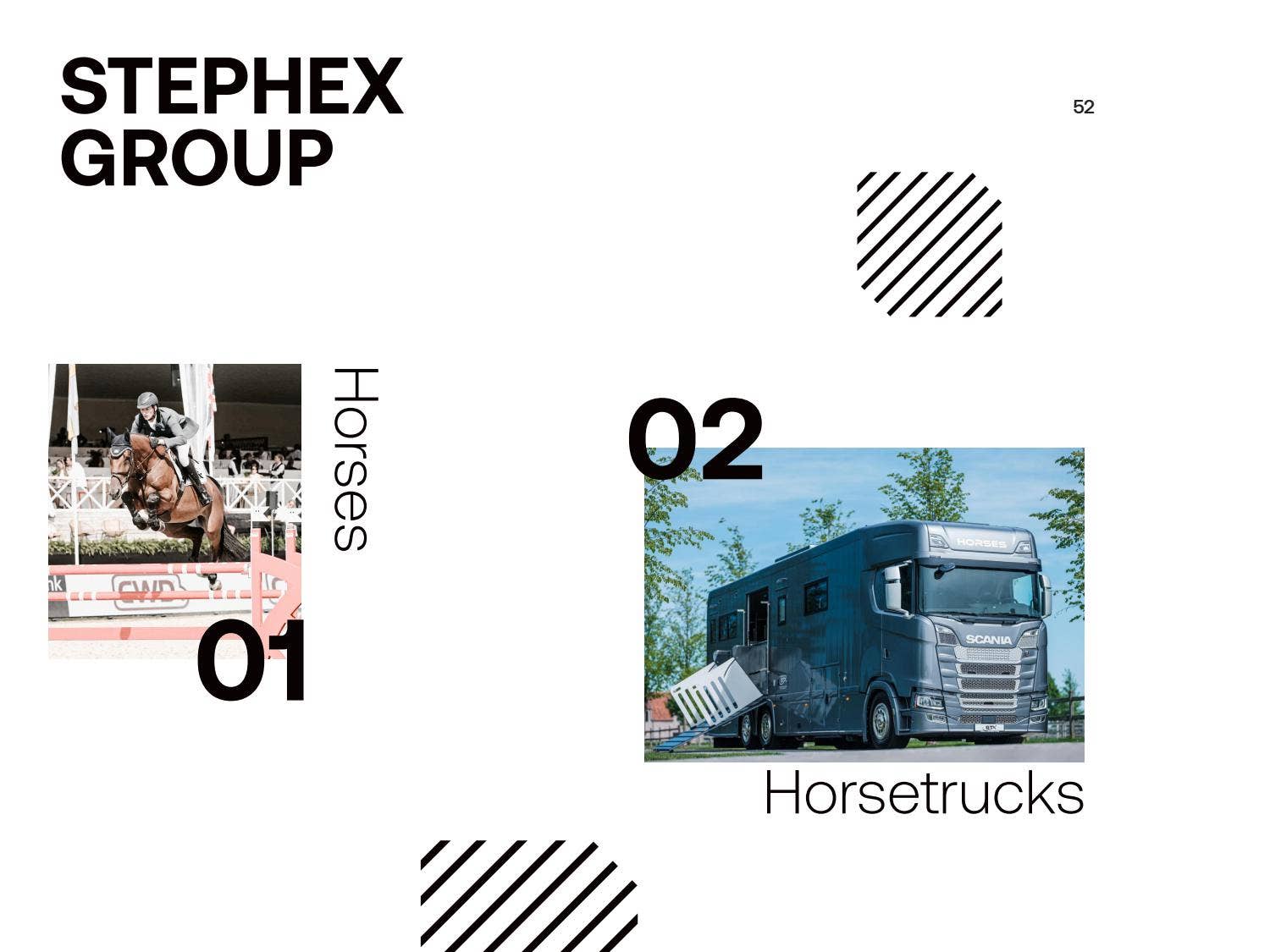 Stephex Logo Stephex Stallions Brochure 2021 by Stephex - Issuu