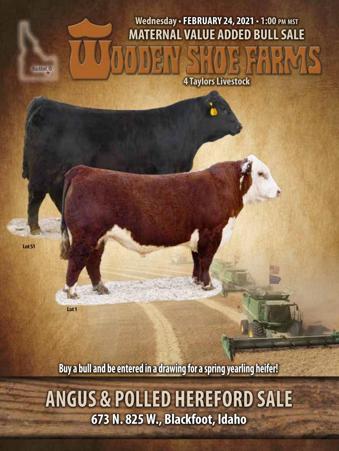Wooden Shoe Farms Bull Sale by American Hereford Association and