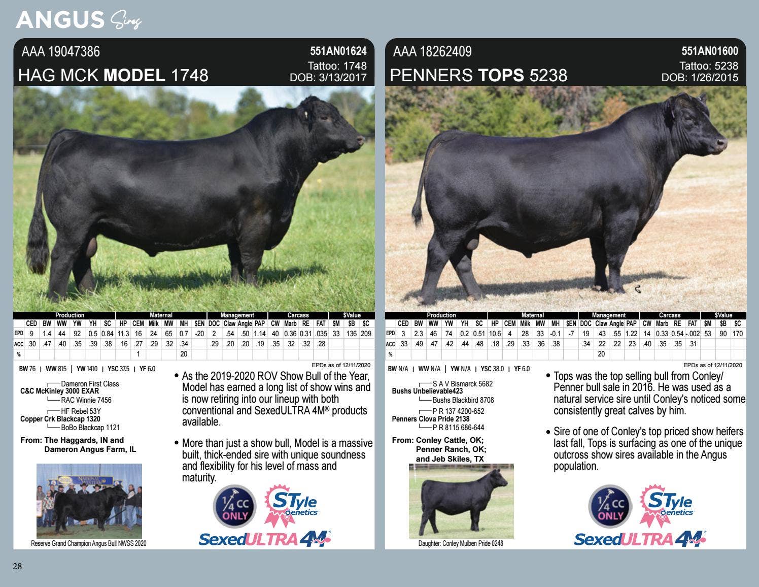 Beef Spring 2021 Catalog by Issuu