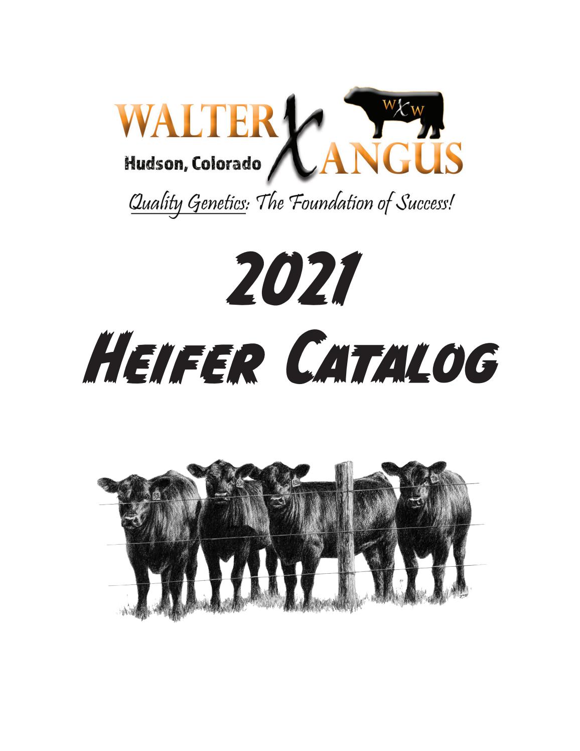 2021 Heifer Catalog by Walter Angus Issuu