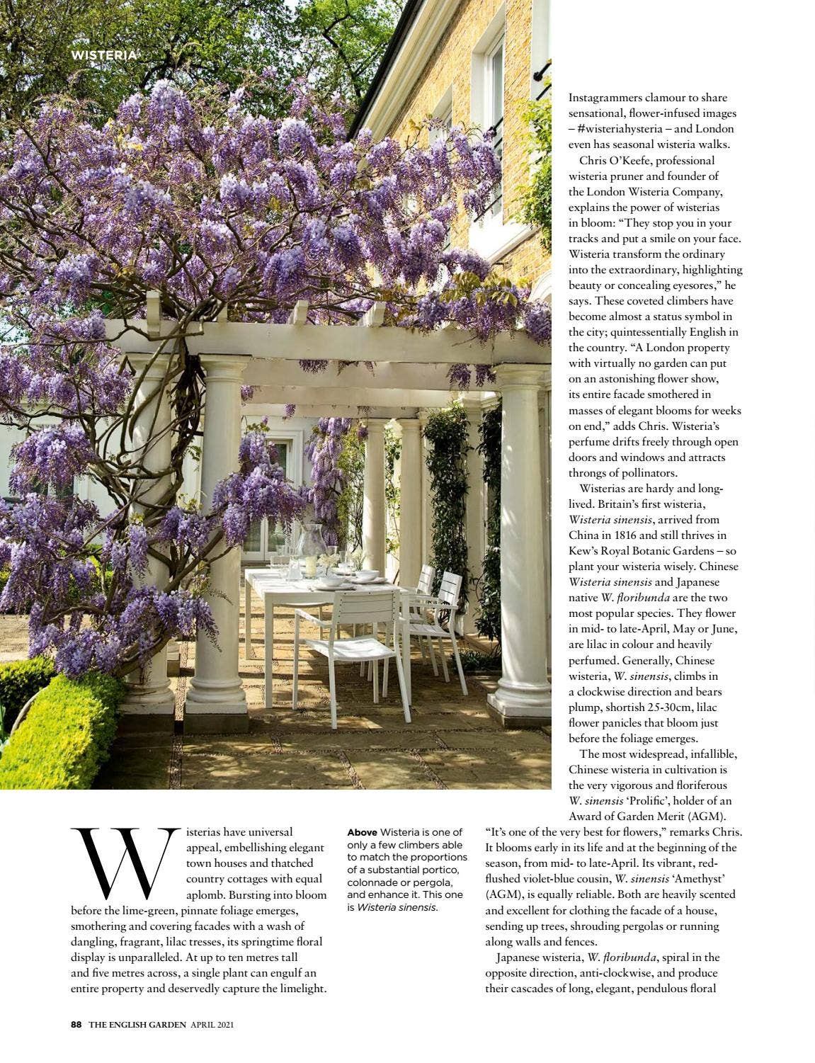 The English Garden April 2021 by The Chelsea Magazine Company - Issuu