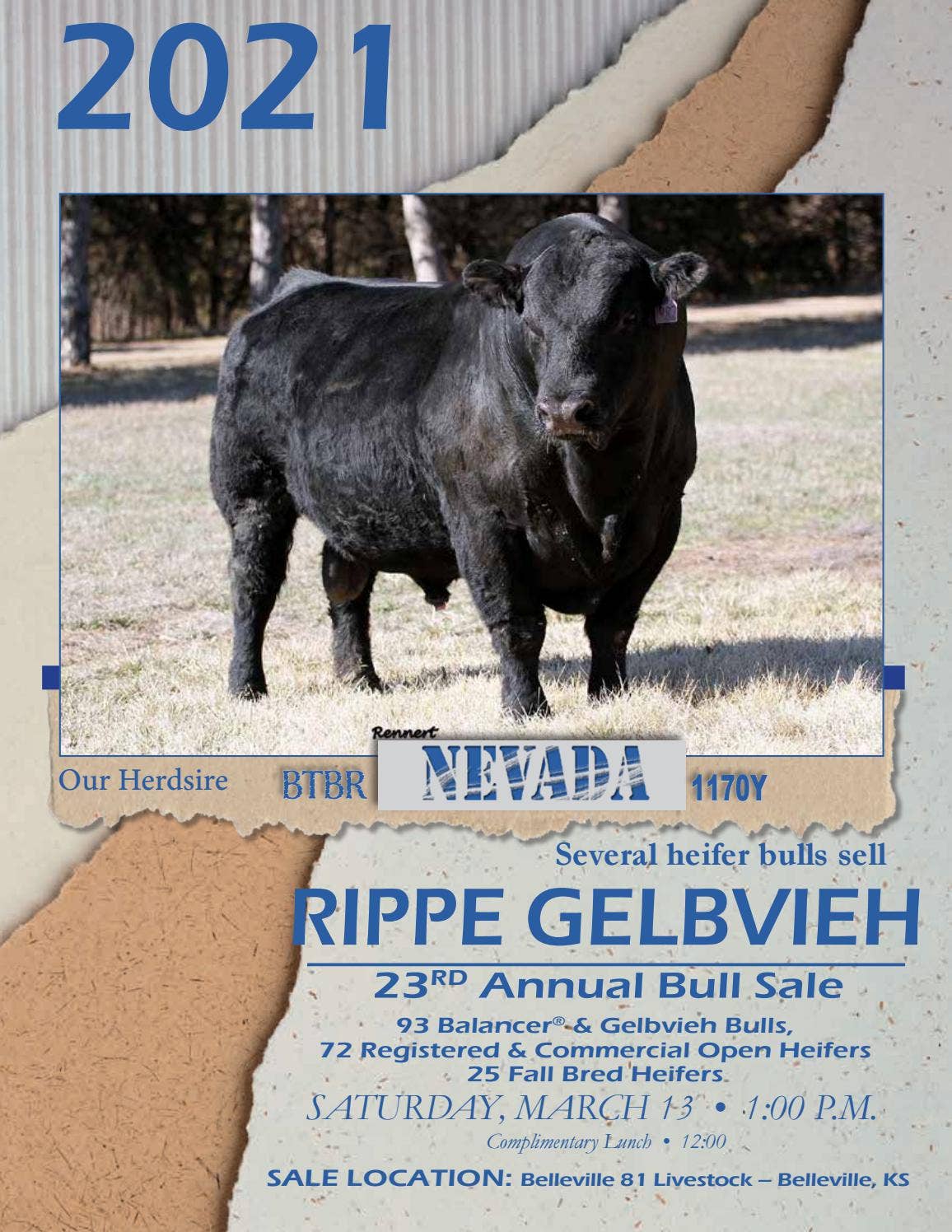 Dustin Rippe Rippe Gelbvieh 23rd Annual Bull Sale by American Gelbvieh Association ...