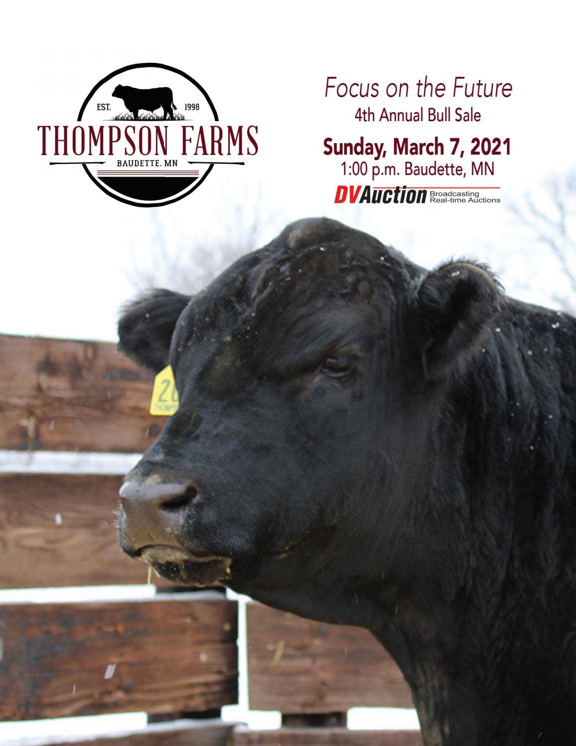 Thompson Angus Farms - 2021 Sale Catalog by LivestockDirect - Issuu