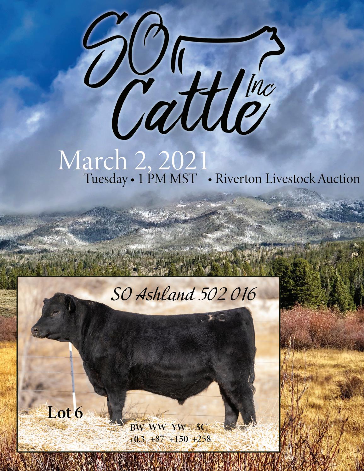 SO Cattle Sale Catalog 2021 by PeltonLivestock Issuu