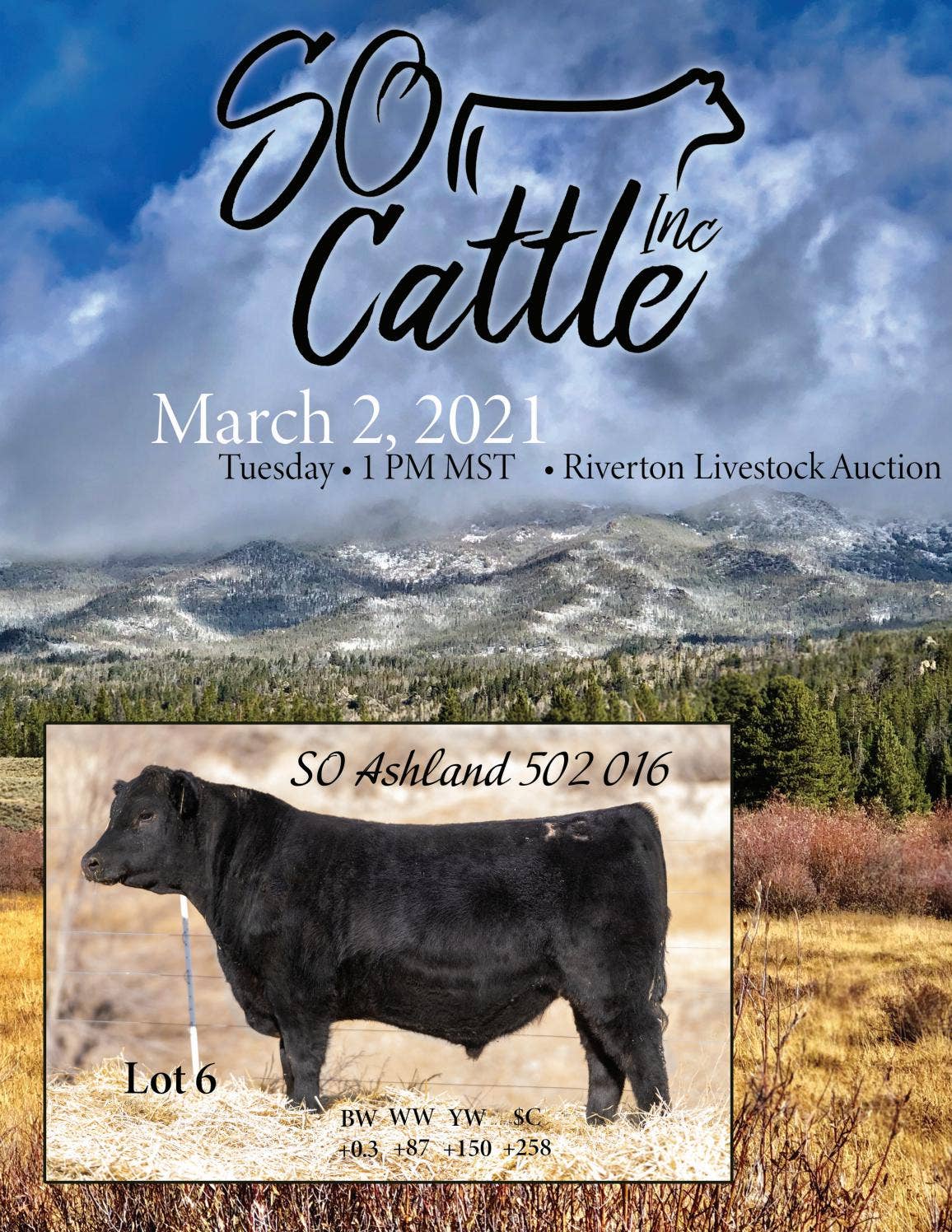 SO Cattle Sale Catalog 2021 by PeltonLivestock Issuu