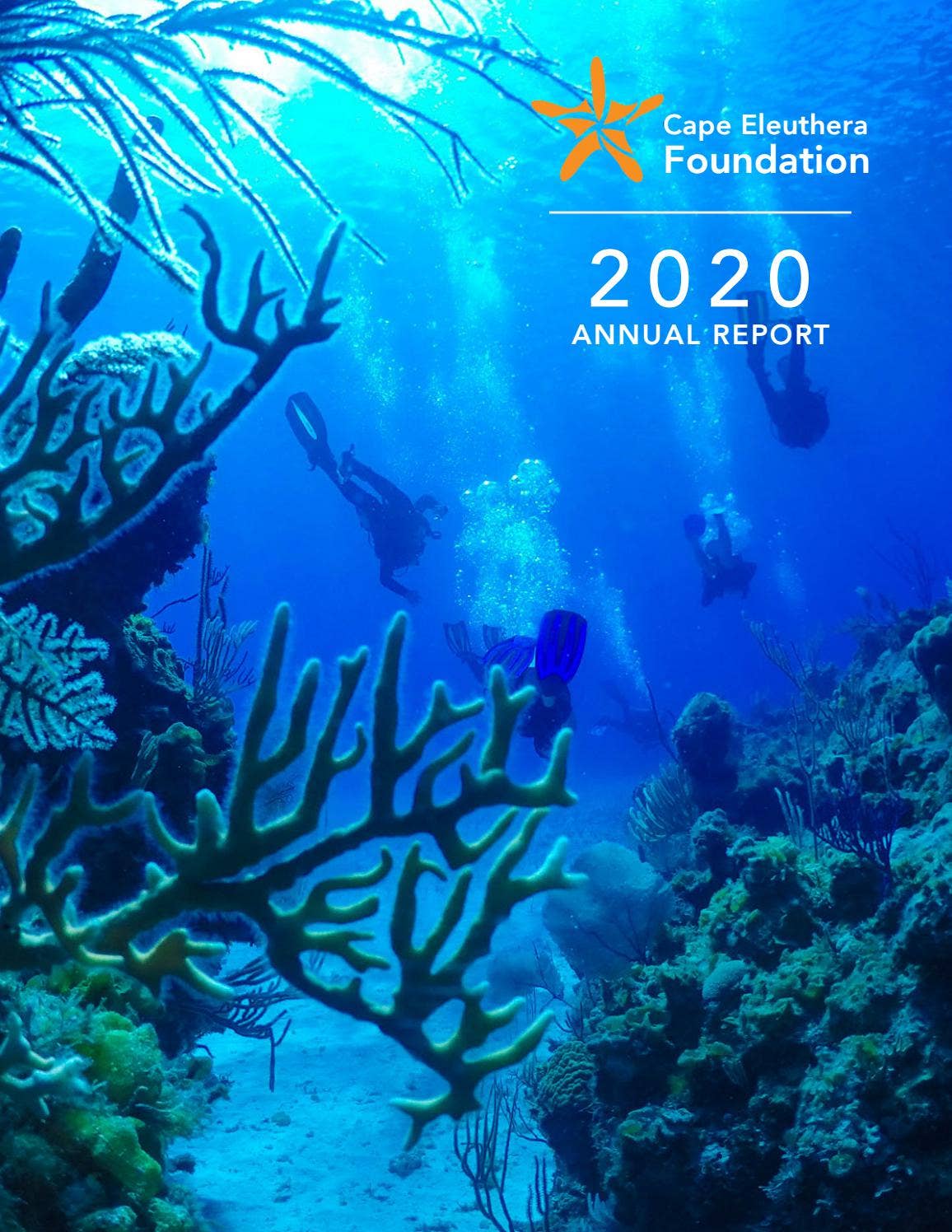 2020 Cape Eleuthera Foundation Annual Report by The Island School - Issuu