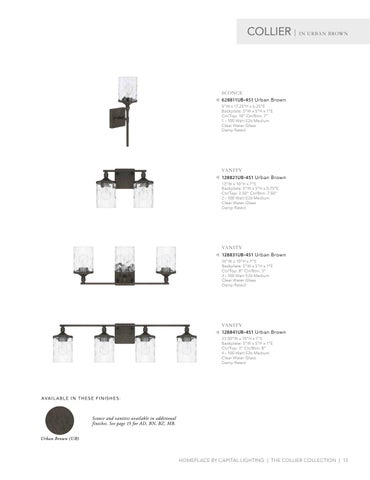 Capital Lighting 2020 Catalog 灯饰目录 · HomePlace by 第 13 页
