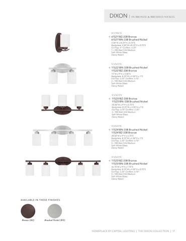 Capital Lighting 2020 Catalog 灯饰目录 · HomePlace by 第 17 页
