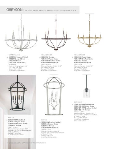 Capital Lighting 2020 Catalog 灯饰目录 · HomePlace by 第 18 页