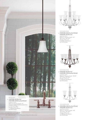 Capital Lighting 2020 Catalog 灯饰目录 · HomePlace by 第 20 页