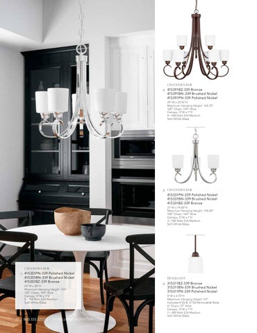 Capital Lighting 2020 Catalog 灯饰目录 · HomePlace by 第 22 页