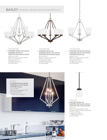 Capital Lighting 2020 Catalog 灯饰目录 · HomePlace by 第 4 页