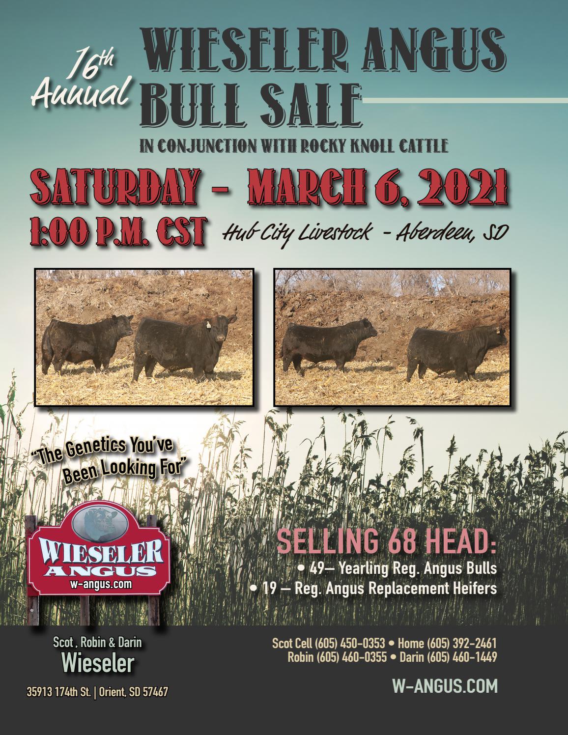 2021 Wieseler Angus Bull Sale Catalog by Moxie Marketing of the Midwest