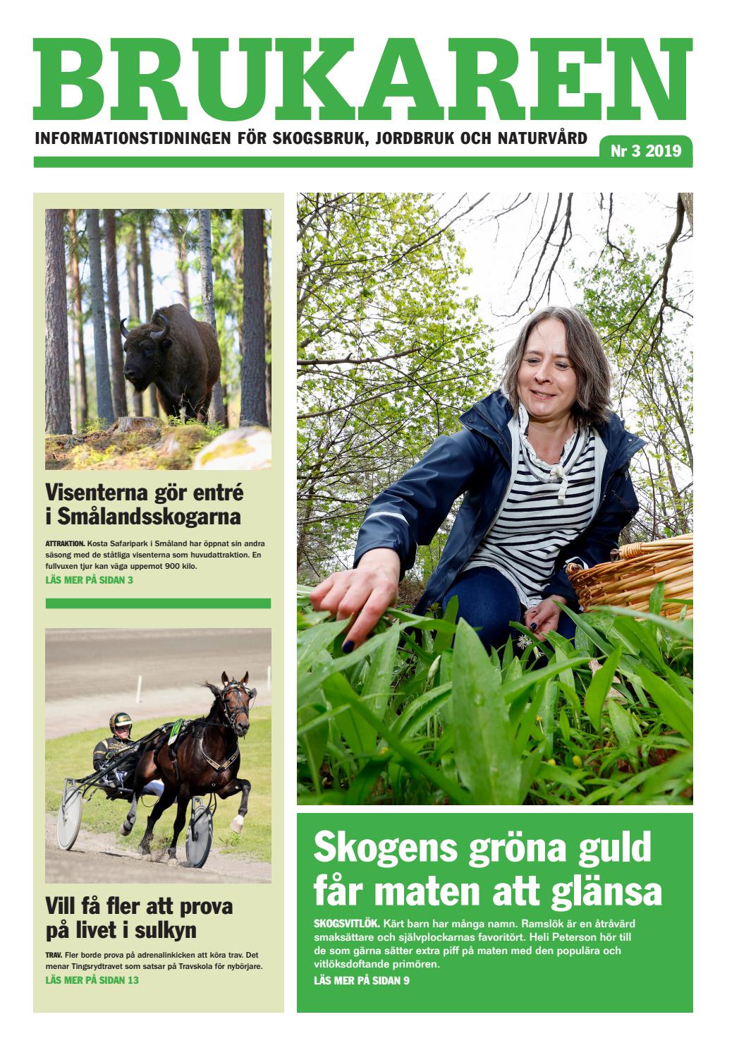 Brukaren nr 3 2019 by KrePart - issuu
