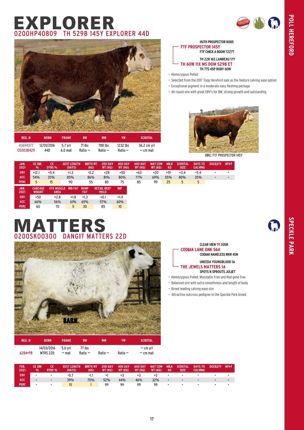 Semex Beef - 2021 All Breeds Catalogue - Australia by Semex - Issuu