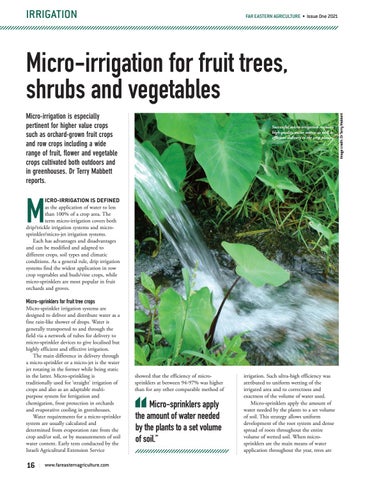 Micro-irrigation for fruit trees, shrubs and vegetables