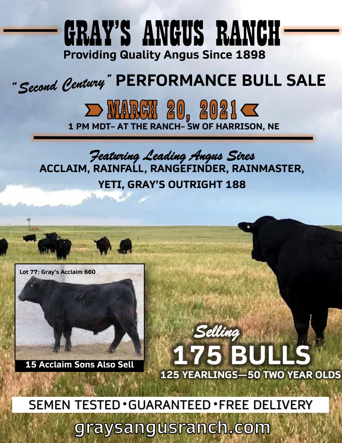 Gray's Angus Ranch Performance Bull Sale Catalog 2021 by