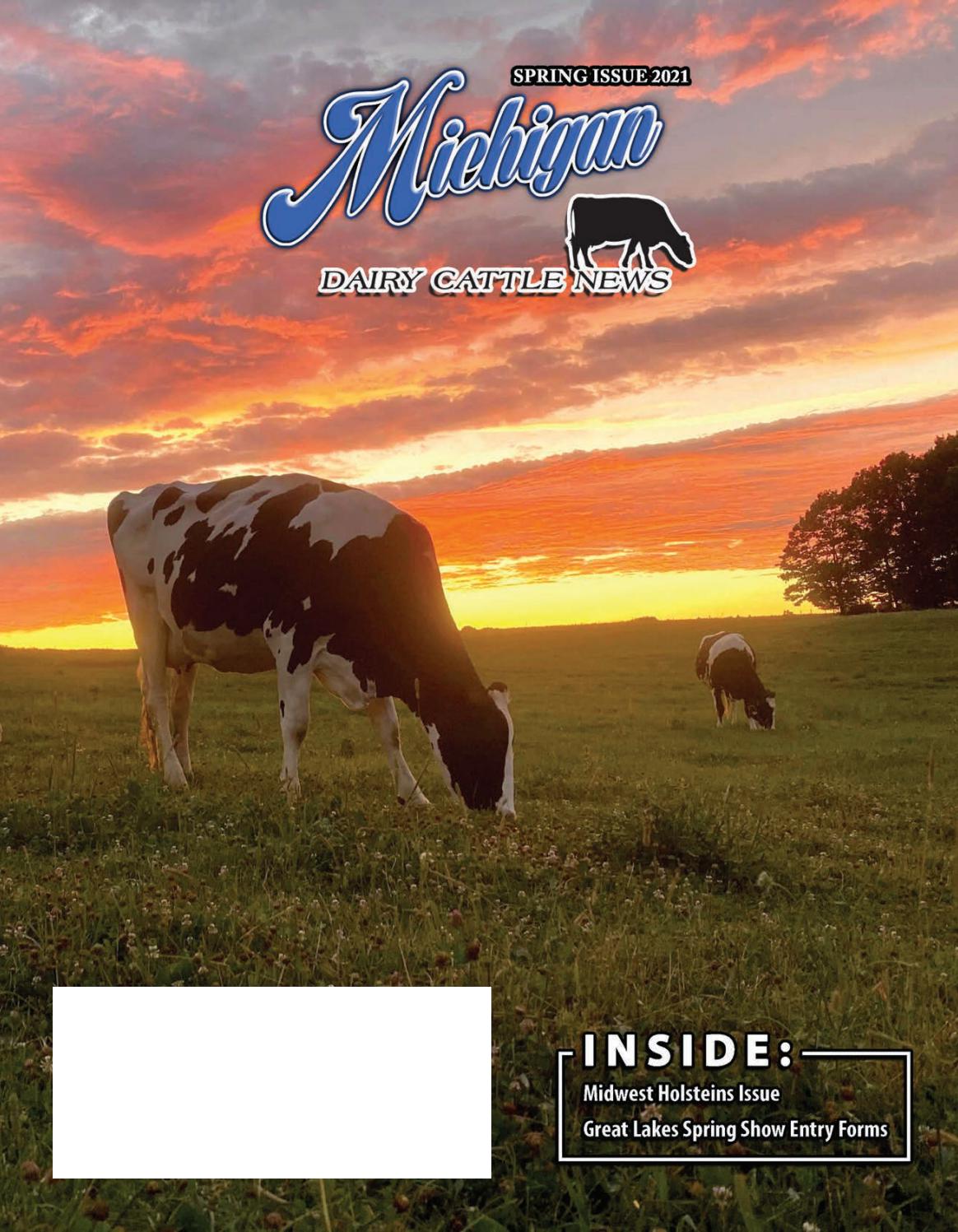 MI Dairy Cattle News Spring Issue 2021 by Dairy Agenda Today Issuu