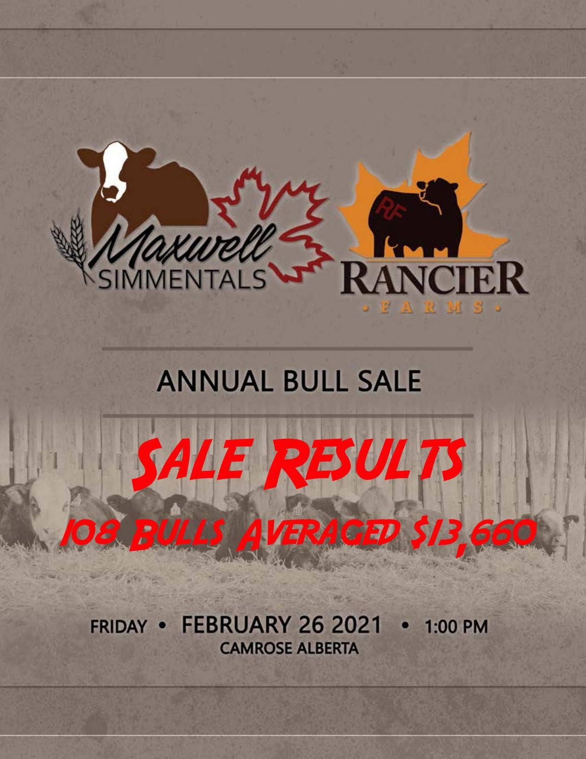 Maxwell/Rancier 26th Annual Bull Sale :: SALE RESULTS by Bohrson