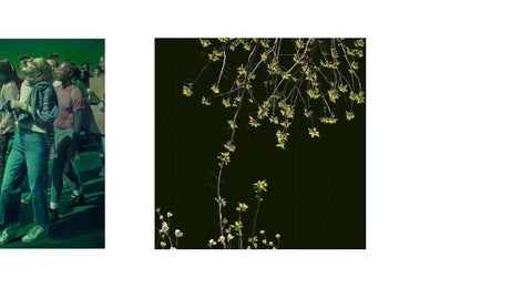 inliquid 灯饰目录 · Design for Living 第 13 页