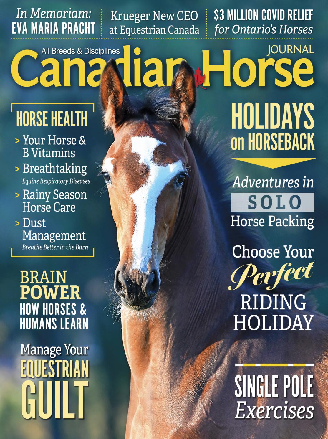 Canadian Horse Journal SAMPLE Spring 2021 by Horse Community
