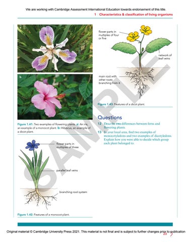 IGCSE Biology MULTI-COMPONENT SAMPLE by Cambridge International ...