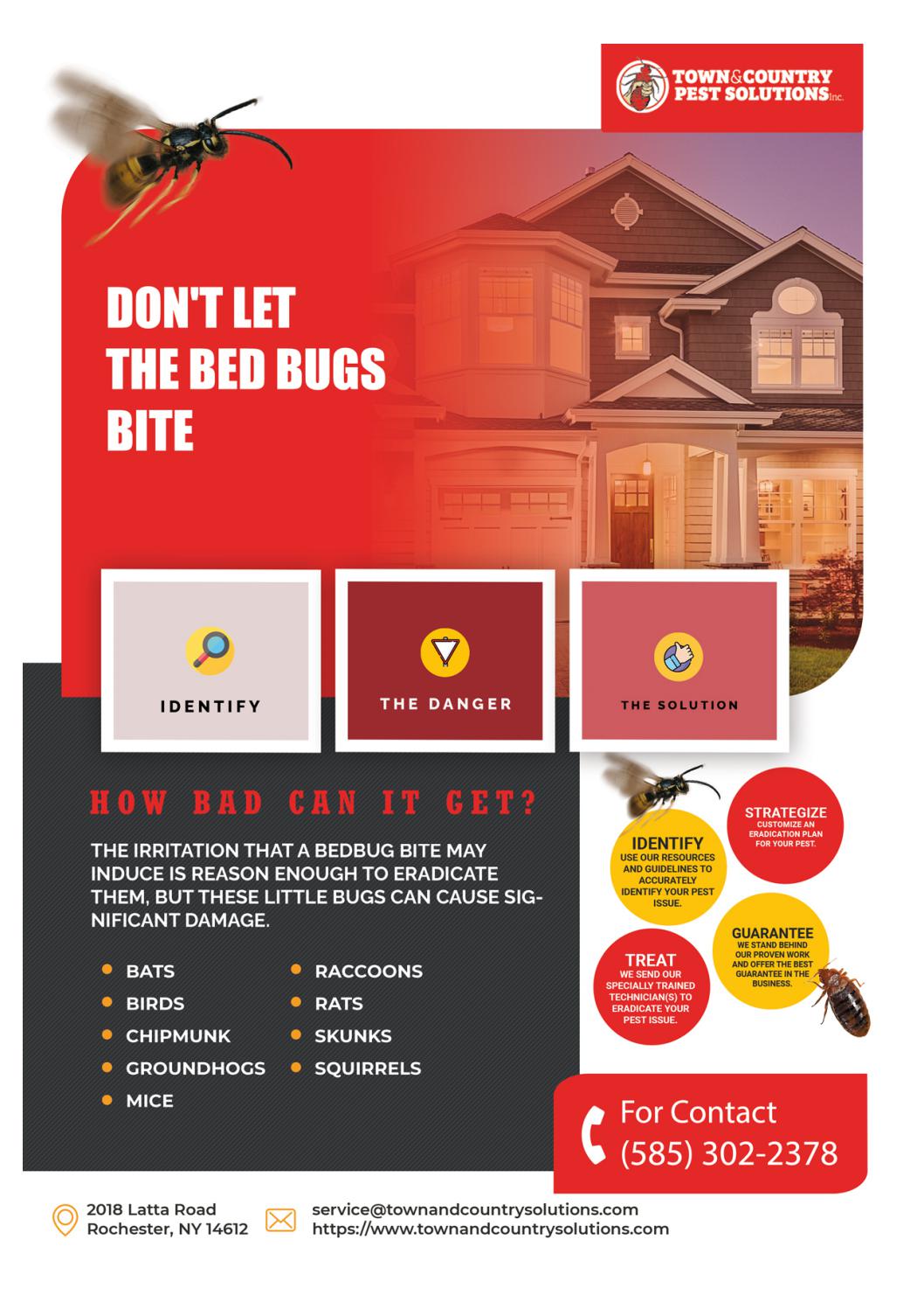 Bee exterminator rochester ny Syracuse commercial pest control by