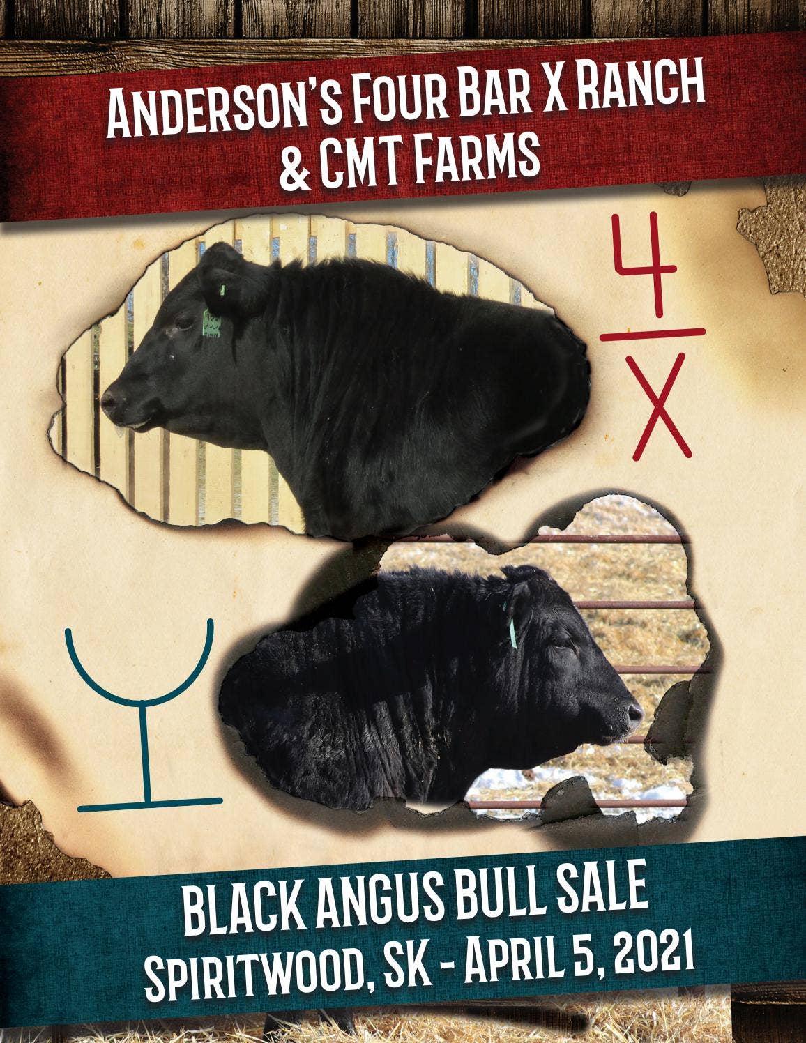 ANDERSONS FOUR BAR X / CMT FARMS BLACK ANGUS BULL SALE by Today's