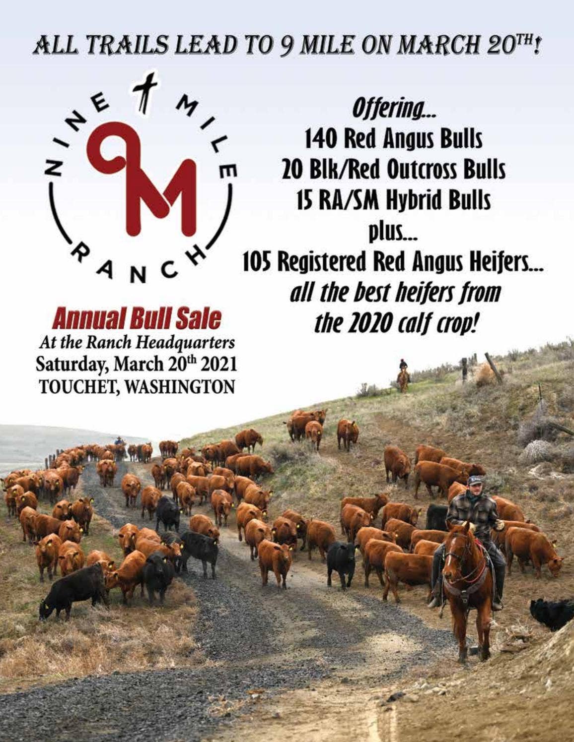 9 Mile Ranch 2021 Bull & Female Sale Catalog by sal1968 - Issuu
