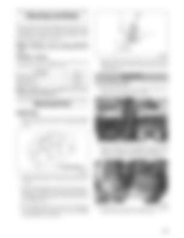 Page 261