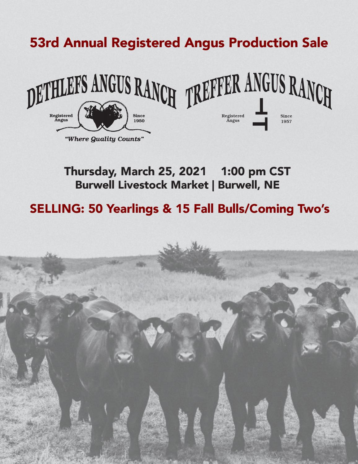 Dethlefs/Treffer Angus Ranch 2021 Spring Bull Sale Catalog by