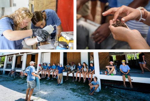 The Island School Semester & Summer Term Brochure by The Island School ...