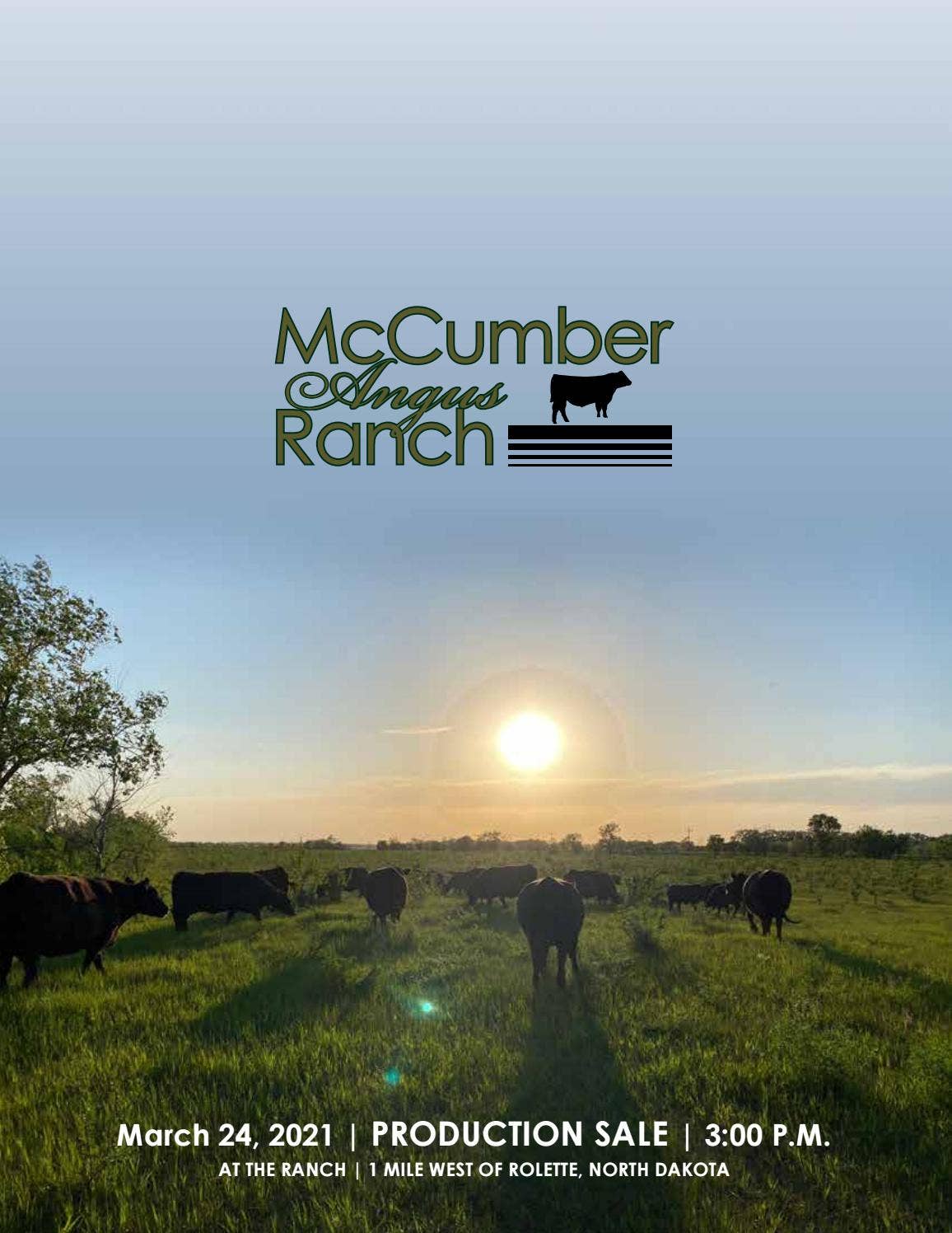 Mccumber Angus Ranch McCumber Angus Ranch Sale Catalog 2021 by PeltonLivestock - Issuu