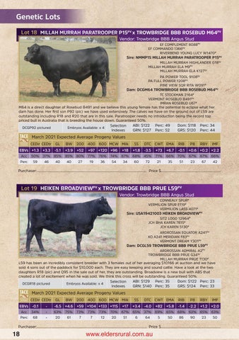 RAS Angus Bull & Female Sale by Angus Australia - Issuu