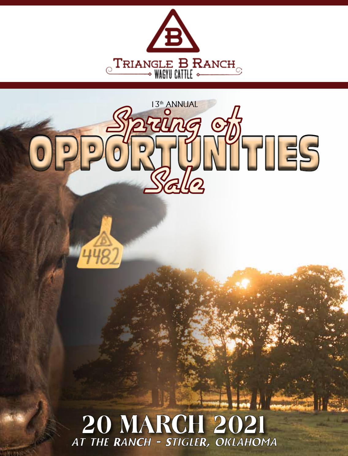 2021 Triangle B Ranch Sale Catalog by Ranch House Designs Issuu