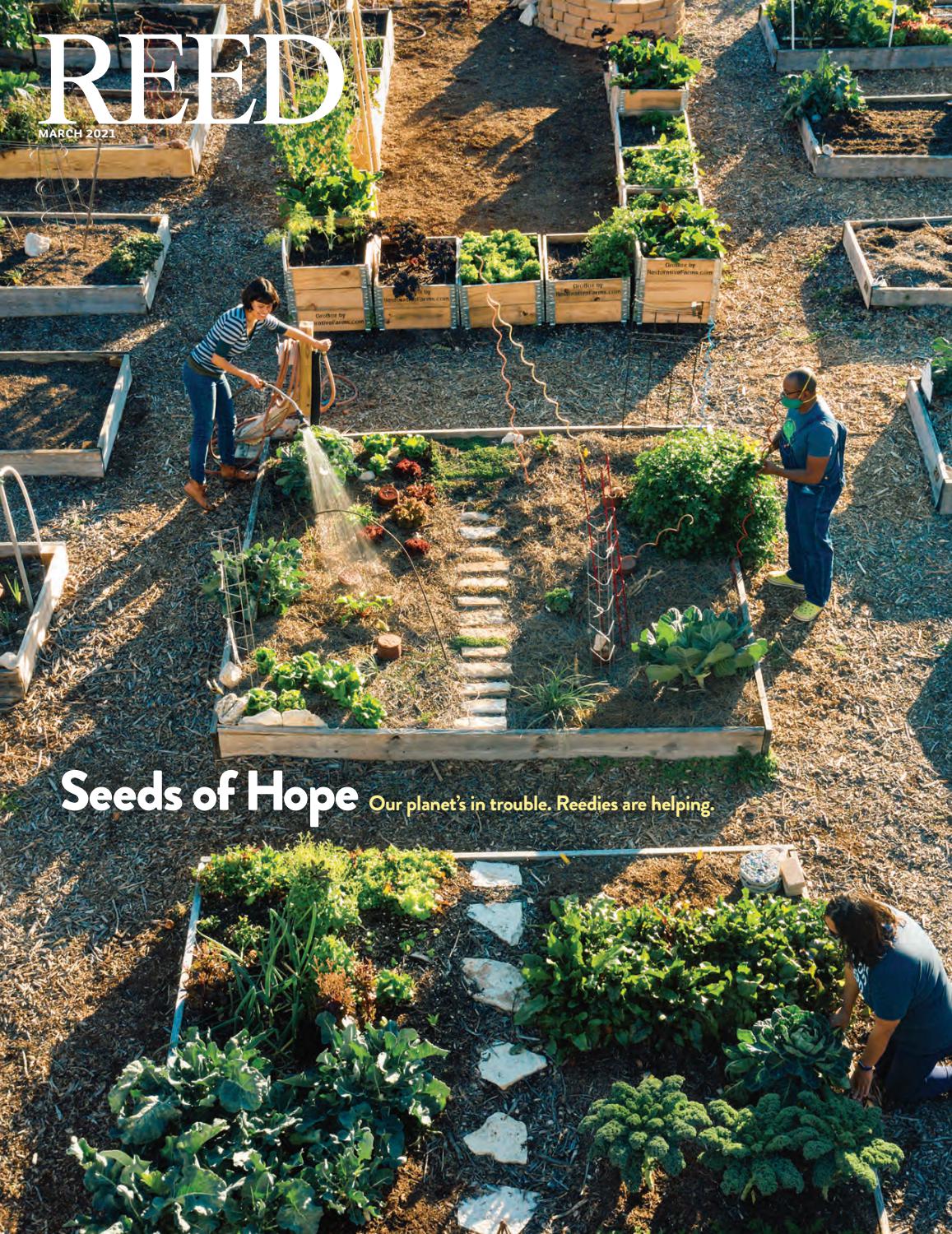 Reed College Magazine March 2021 By Reed College Issuu Reed College Magazine March 2021 By Reed College Issuu