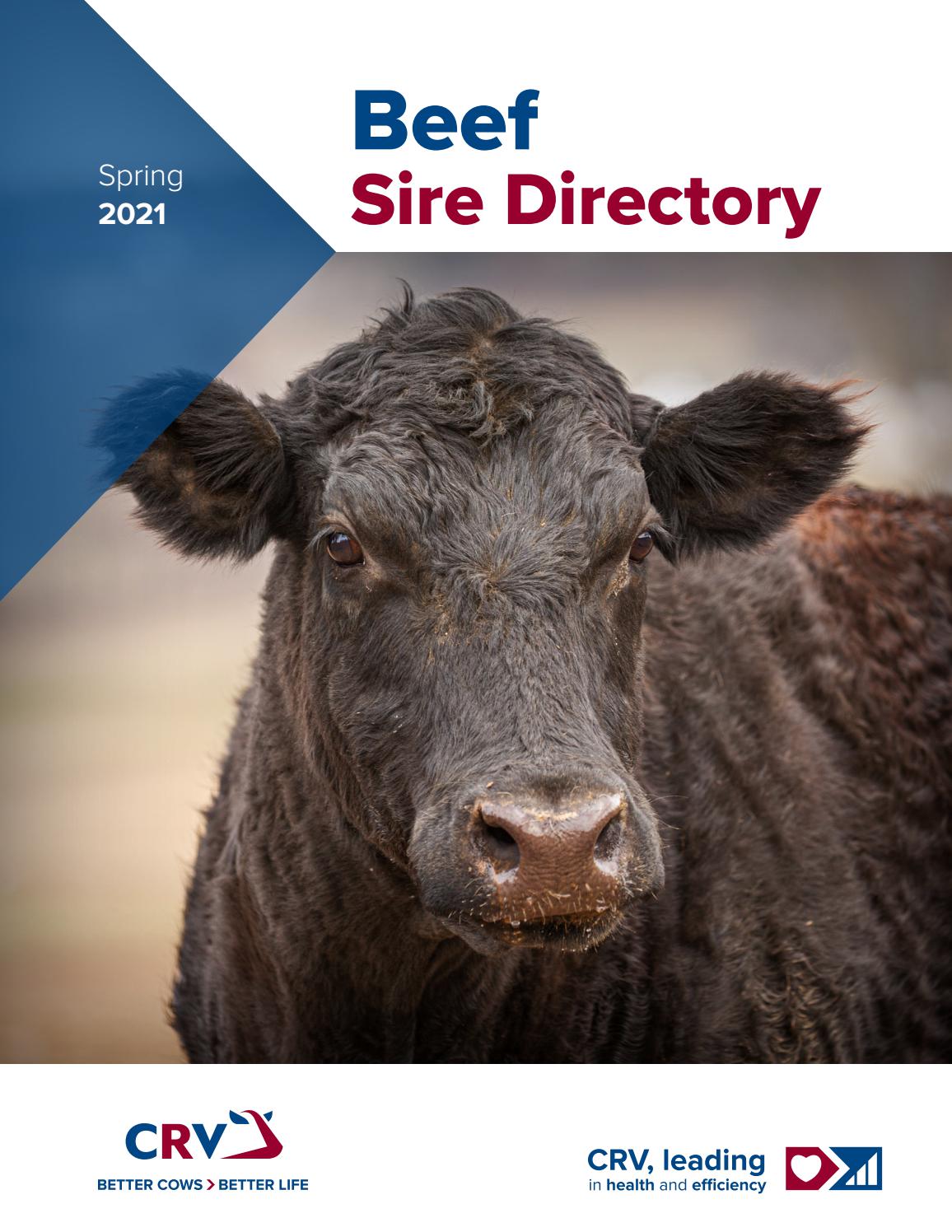 CRV USA Beef Catalog 2021 by CRV USA Issuu