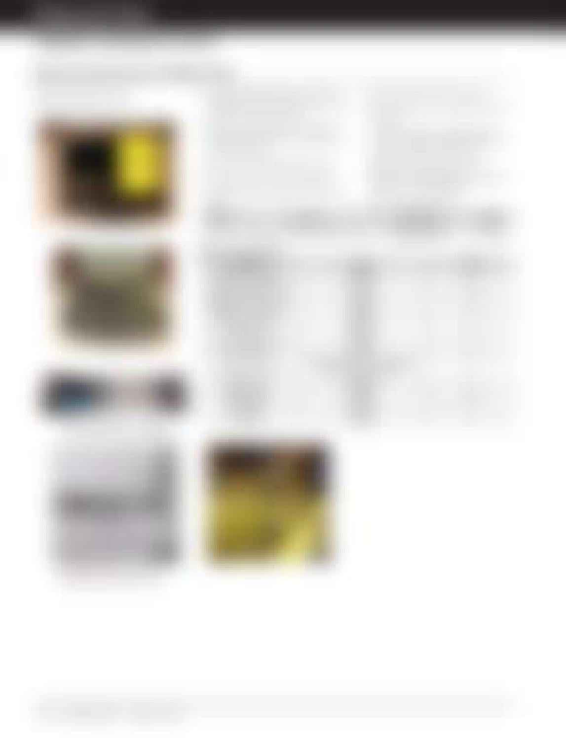 CAT Dealer Service Tools Catalog (Includes Hand Tools & Shop Supplies