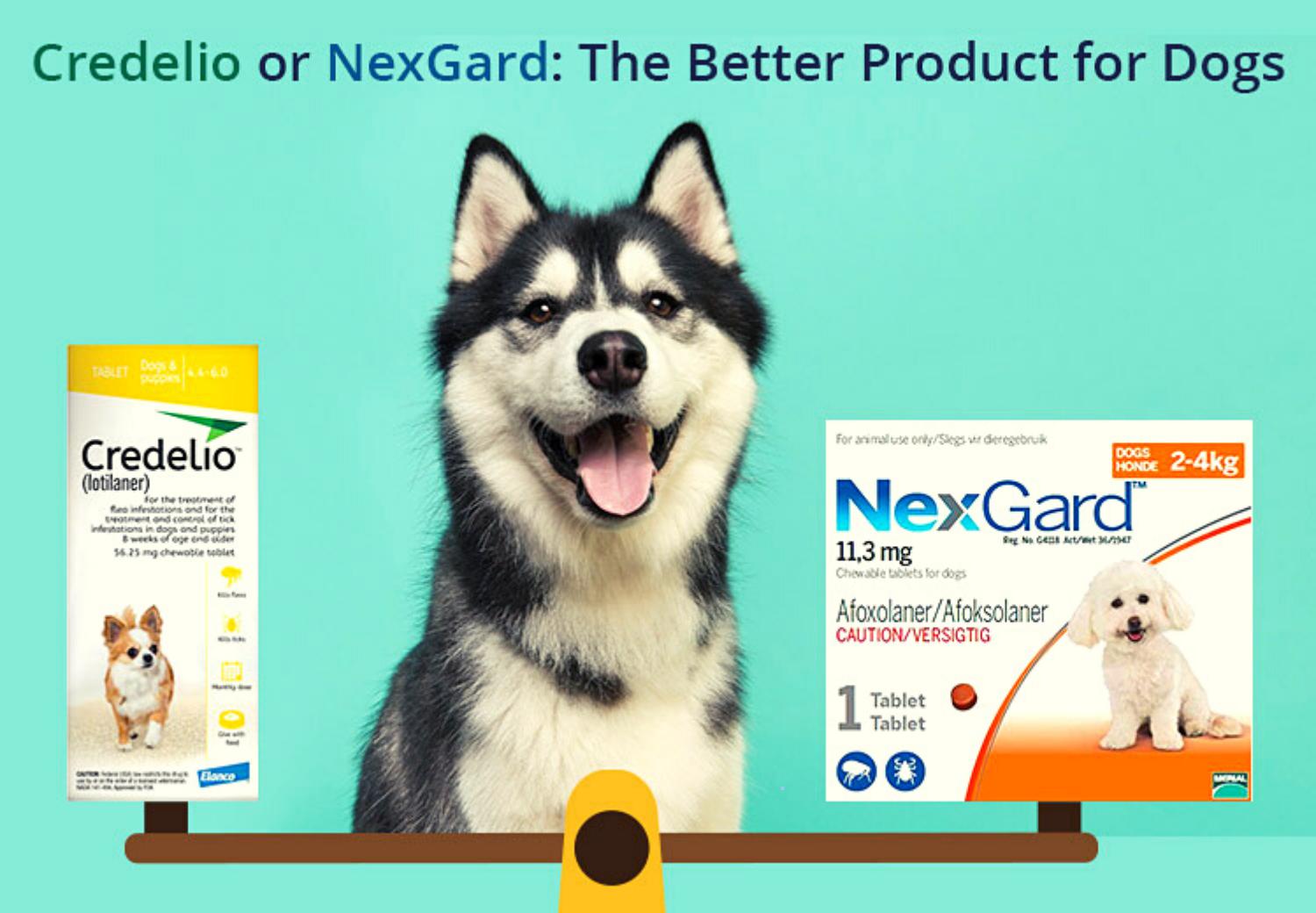 credelio vs frontline