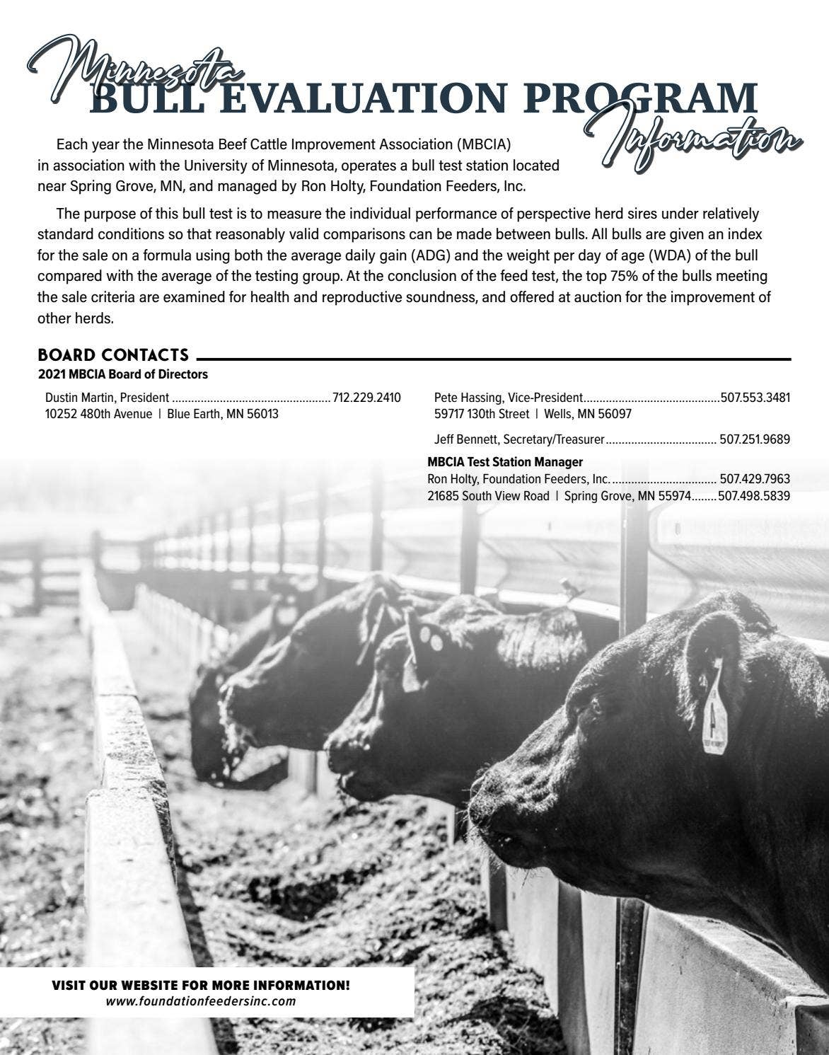 MN Beef Cattle Improvement Association 2021 Performance Tested Bull